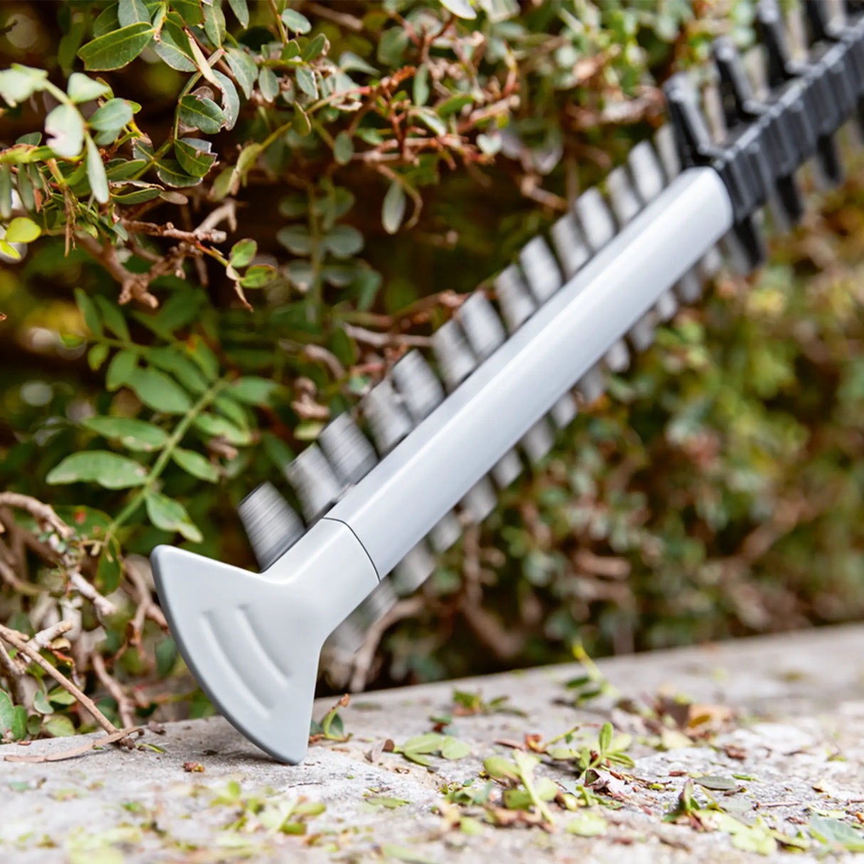 Tagliasiepi Bosch GHE 18V-60