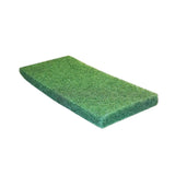 Tampone Abrasivo Raimondi 227