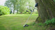 Brush cutter Bosch Professional GFR18V-25BH 18V