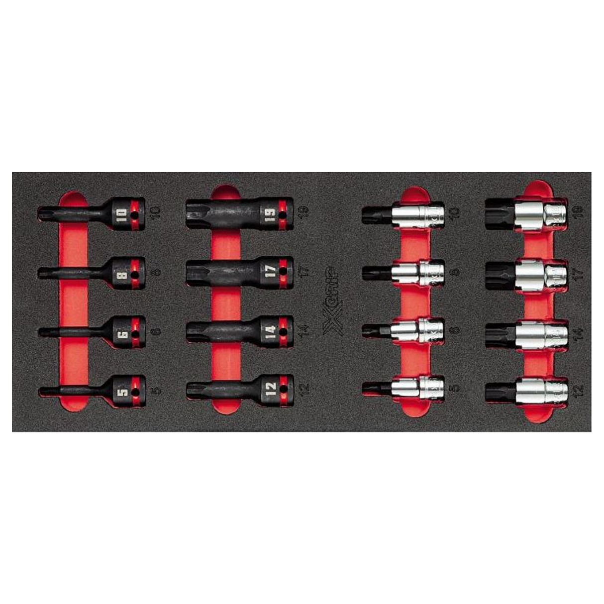 U05191017 - Assorted two-tone sponge module USAG 519 M 234X (16 pcs)